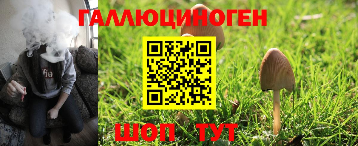Галлюциногенные грибы мухоморы Вятские Поляны